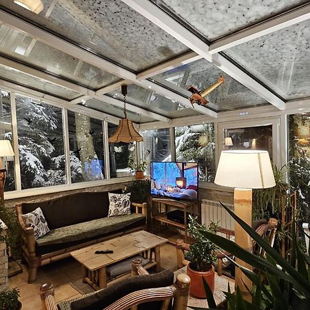 Club-Austria Residence (Adults Only) Busteni Exterior photo