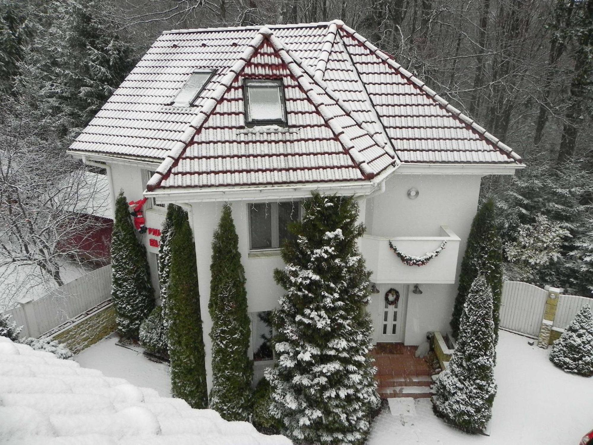 Club-Austria Residence (Adults Only) Busteni Exterior photo